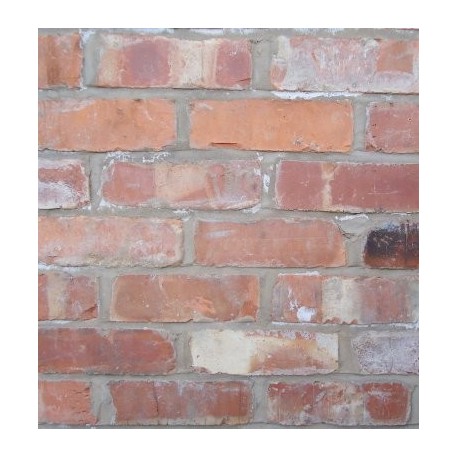 Reclaimed Bricks Limited Reclaimed Watermill 75mm Wirecut Extruded Red Light Texture Brick