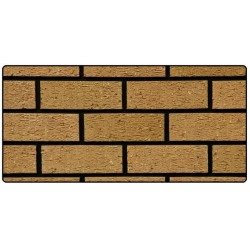 Webster Hemming & Sons Buff Multi Rustic 73mm Wirecut Extruded Buff Light Texture Clay Brick