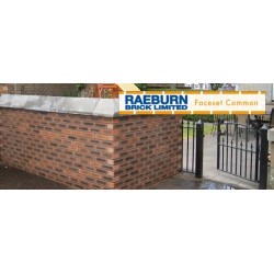 Raeburn Facesett Common 73mm Wirecut Extruded Red Light Texture Clay Brick