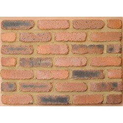Caradale Royal Smooth (Tumbled Rumbled) 65mm Wirecut  Extruded Red Light Texture Brick