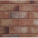 Carlton Brick Flamborough Gold 65mm Wirecut Extruded Buff Light Texture Clay Brick