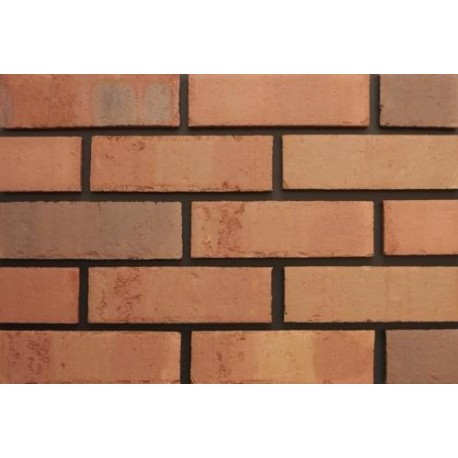 Kingscourt Clay Products Earlsfort Multi 65mm Wirecut Extruded Red Light Texture Clay Brick