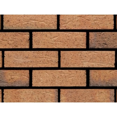 Ibstock Argyll Antique Blend 65mm Wirecut Extruded Buff Light Texture Brick