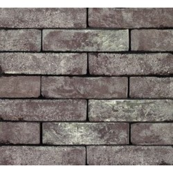 Wienerberger Forum Smoked Cromo 50mm Grey Light Texture Clay Brick