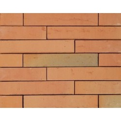 Wienerberger Orange Multi 48mm Red Light Texture Clay Brick