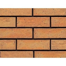 Ibstock Avon Burnt Gold 65mm Wirecut Extruded Buff Light Texture Clay Brick