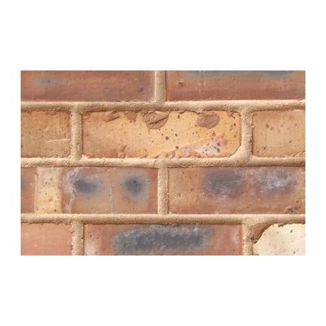 Traditional Northcot Brick Old Scotch Common 65mm Wirecut Extruded Red Light Texture Clay Brick