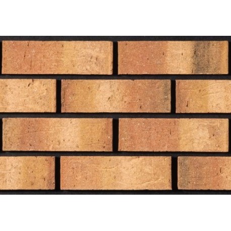 Tyrone Brick Donard 65mm Wirecut Extruded Buff Light Texture Brick
