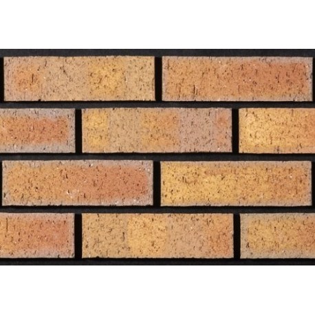 Tyrone Brick Drumbo 65mm Wirecut Extruded Buff Light Texture Brick