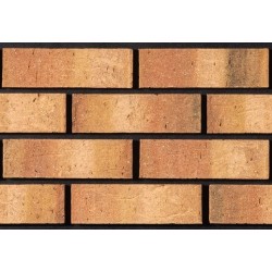 Tyrone Brick Sandstone 65mm Wirecut Extruded Buff Light Texture Brick