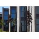 Ibstock Onyx Black BSS 65mm Wirecut Extruded Black Smooth Clay Brick
