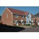 Ibstock Surrey Orange 65mm Wirecut Extruded Red Light Texture Clay Brick