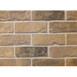 Traditional Brick & Stone St Andrews Buff Multi 65mm Bricks