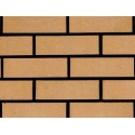 Ibstock Severn Buff 65mm Wirecut Extruded Buff Light Texture Clay Brick