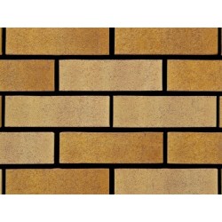 Ibstock Tradesman Golden Buff Multi 65mm Wirecut Extruded Buff Light Texture Clay Brick