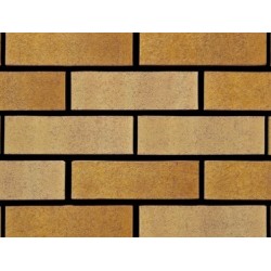 Ibstock Tradesman Golden Buff Multi 65mm Wirecut Extruded Buff Light Texture Clay Brick