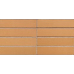 Desimple Hanson Rossini 65mm Wirecut Extruded Red Smooth Brick