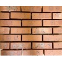 Forterra Hanson Lindum Red Mixture 65mm Wirecut Extruded Red Light Texture Clay Brick